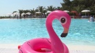 fotogramma del video Turismo: inaugurazione del parco termale Riviera Resort a ...